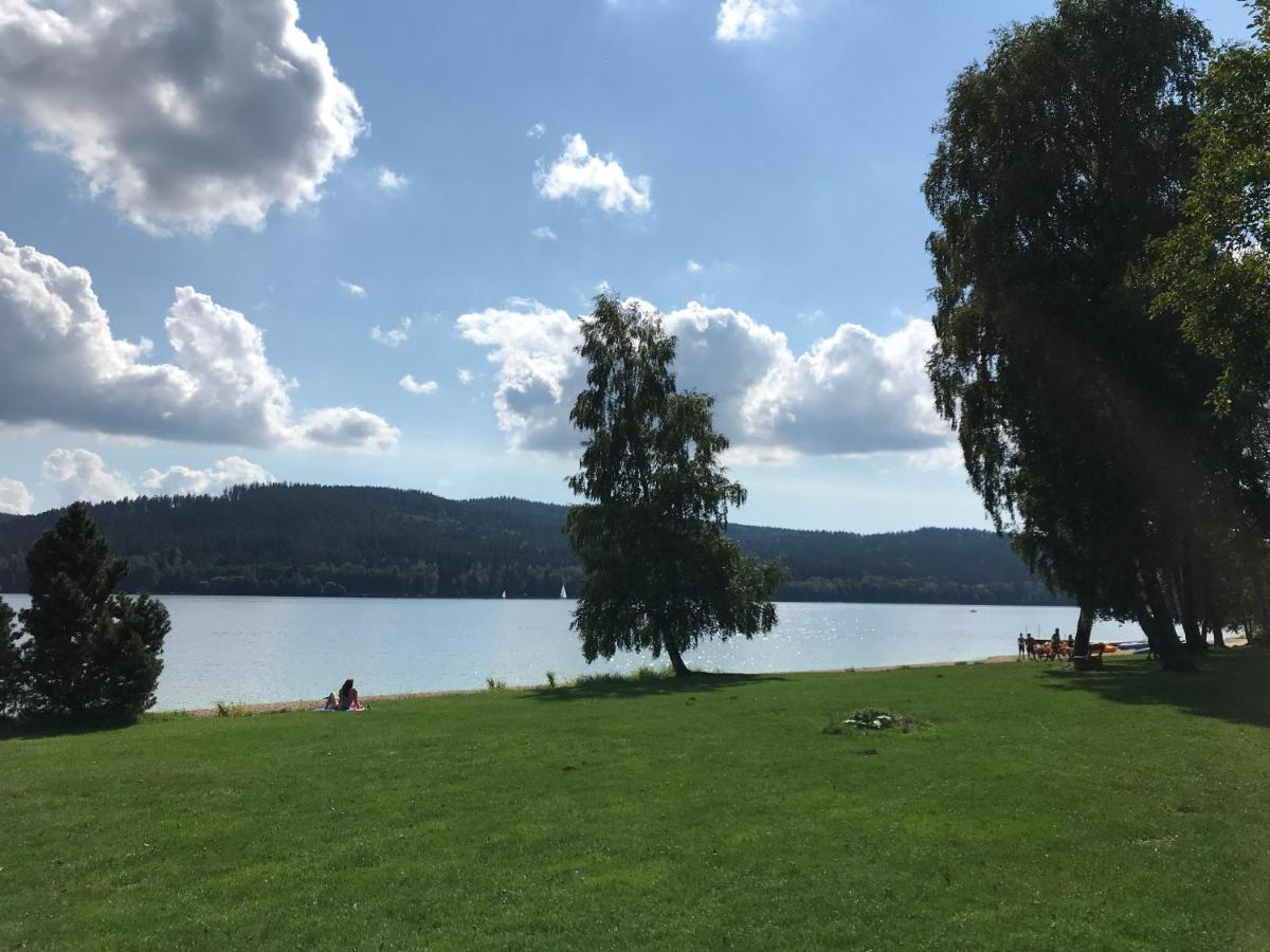 Luxury Apartman Lipno Lipno nad Vltavou Εξωτερικό φωτογραφία